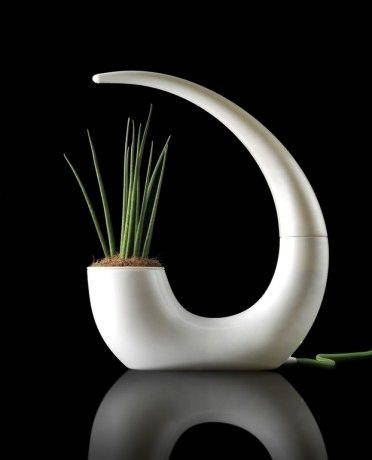 Green Lantern di Romolo Stanco