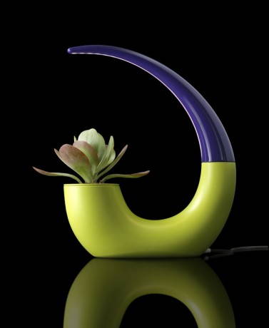 Green Lantern di Romolo Stanco