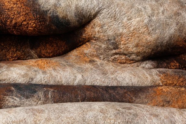 Ayala Serfaty Rapa collection