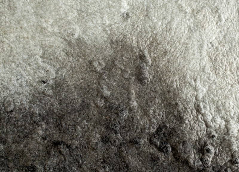 Ayala Serfaty Rapa collection