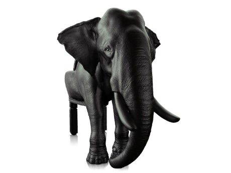 Animal Chair by Maximo Riera-3