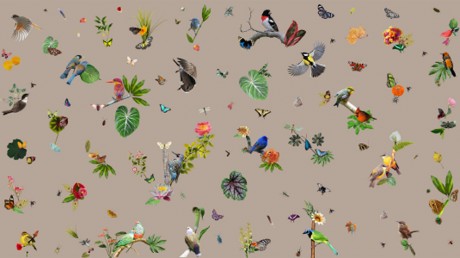 Moooi Carpets