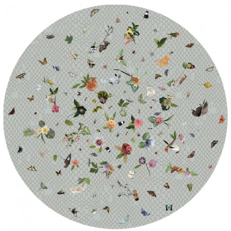 Moooi Carpets