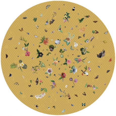 Moooi Carpets