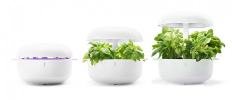 Plantui smart garden
