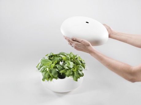 Plantui smart garden