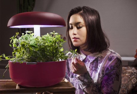 Plantui smart garden