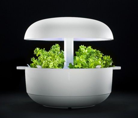 Plantui smart garden