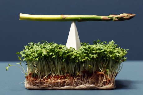 Studio Appetit by Ido Garini: luscious food cravings