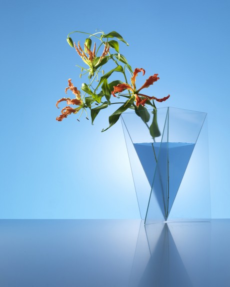 DELTA VAAS DI MART VAN SCHIJNDEL