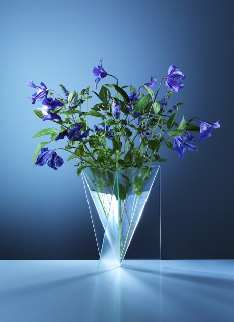 DELTA VAAS DI MART VAN SCHIJNDEL