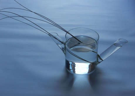 Bramo, il vaso annaffiatoio in vetro borosilicato