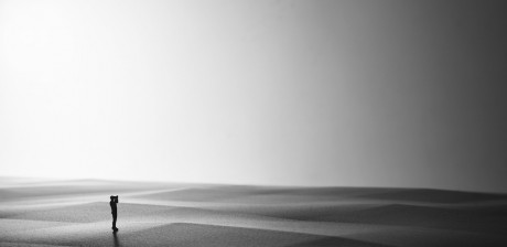 superficie Dune di Lorenzo Palmeri