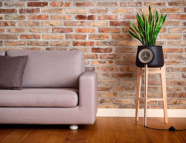 Clairy, il vaso che purifica l’aria