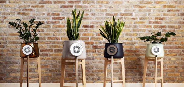 Clairy, il vaso che purifica l’aria