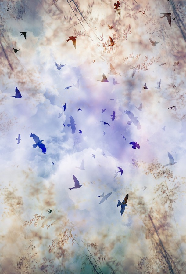 carte da parati di design di Jannelli&Volpi