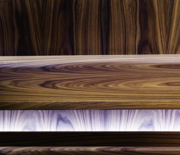 Ziggy by Leo di Caprio