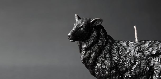 Animal candles by Haoshi