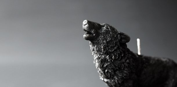 Animal candles by Haoshi