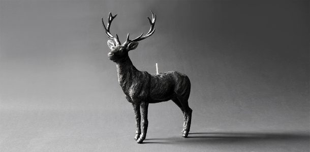 Animal candles by Haoshi