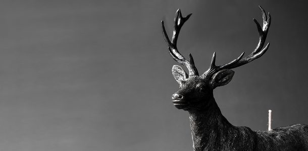 Animal candles by Haoshi