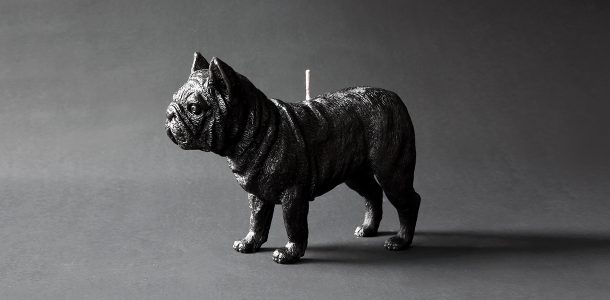 Animal candles by Haoshi