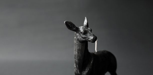 Animal candles by Haoshi