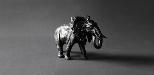 Animal candles by Haoshi