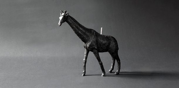 Animal candles by Haoshi