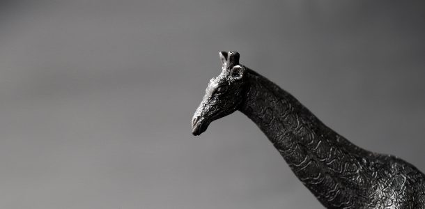 Animal candles by Haoshi