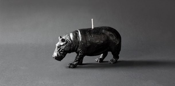 Animal candles by Haoshi
