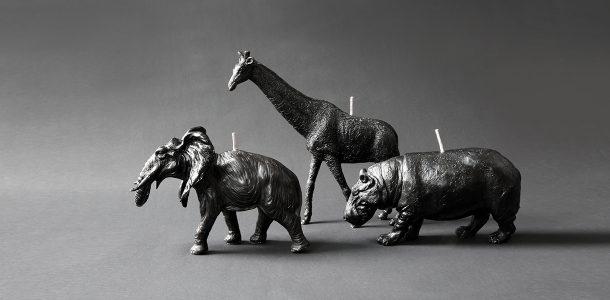 Animal candles by Haoshi