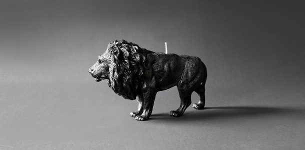 Animal candles by Haoshi