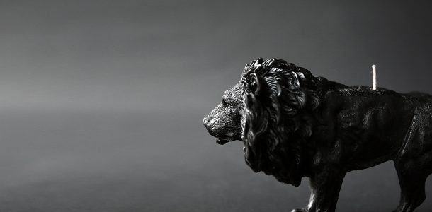 Animal candles by Haoshi