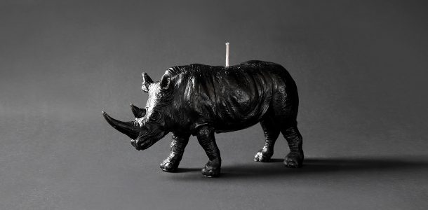 Animal candles by Haoshi