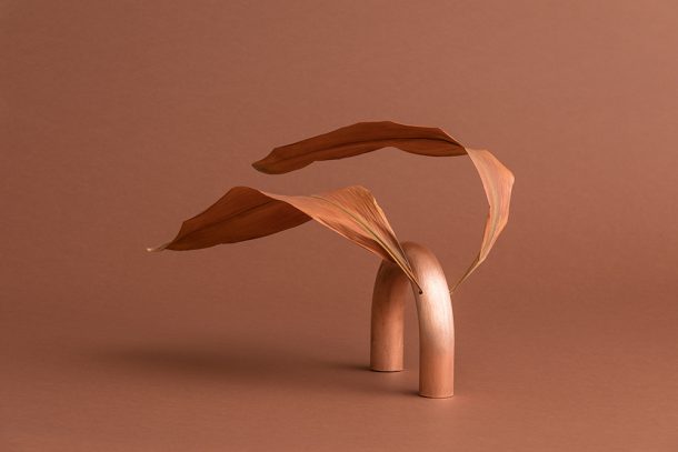 gli Ikebana di Sara Ricciardi