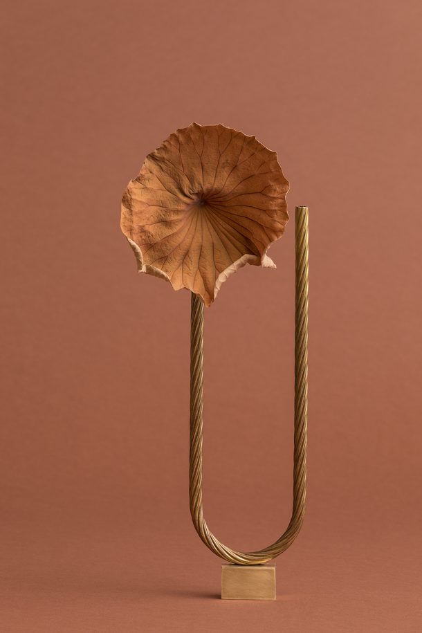 gli Ikebana di Sara Ricciardi