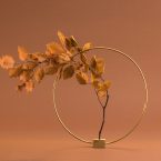 gli Ikebana di Sara Ricciardi