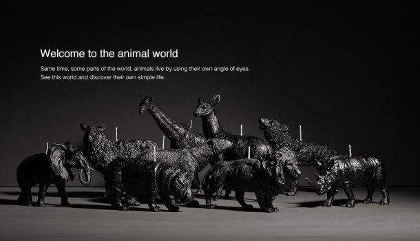 Animal candles by Haoshi