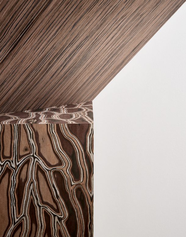 texture legno alpi