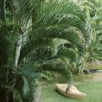 Yamakawa: l'arte giapponese del rattan - panca Linger 5