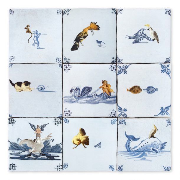 piastrelle bagno cucina