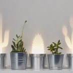 pop up lamp by Chen Bikovski. Cactus Lamp