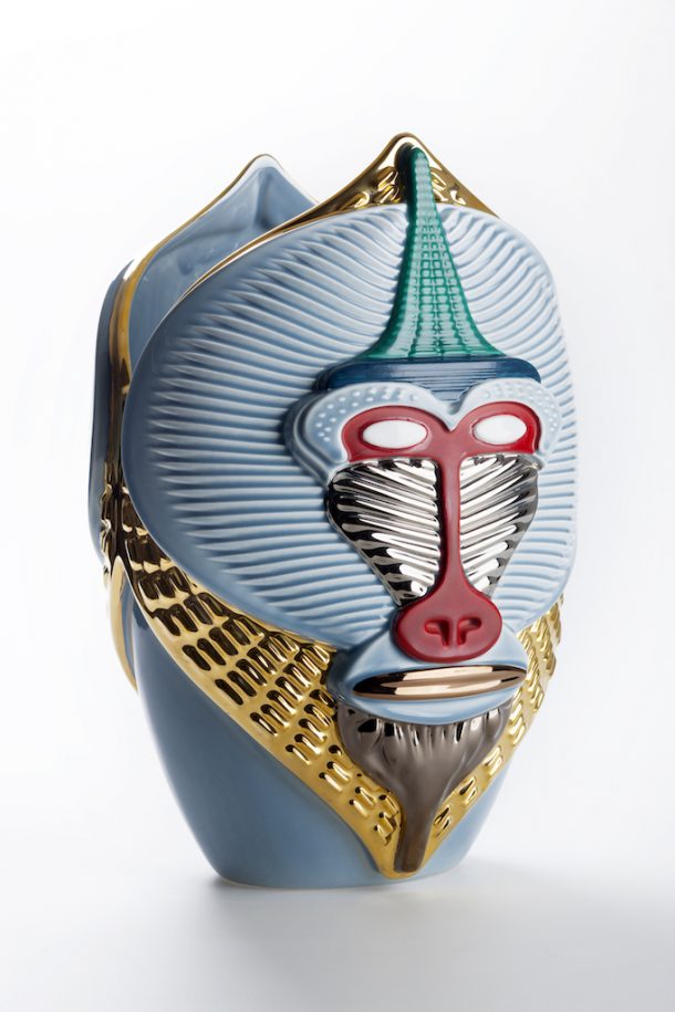 scimmie elena salmistraro