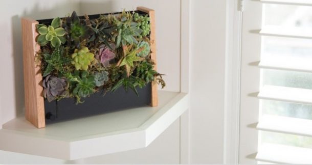 cornice giardino verticale