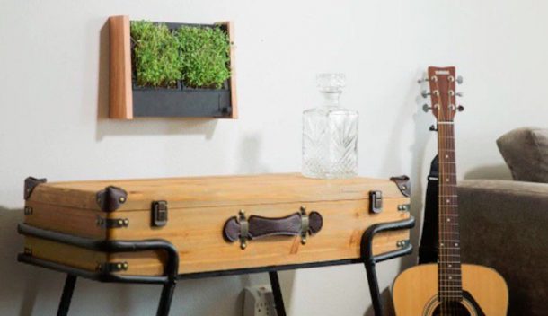 cornice giardino verticale