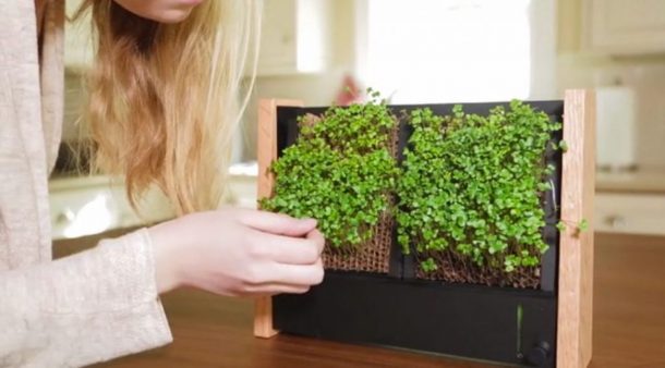 cornice giardino verticale