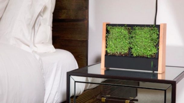 cornice giardino verticale