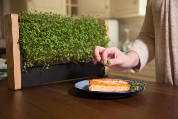 cornice giardino verticale