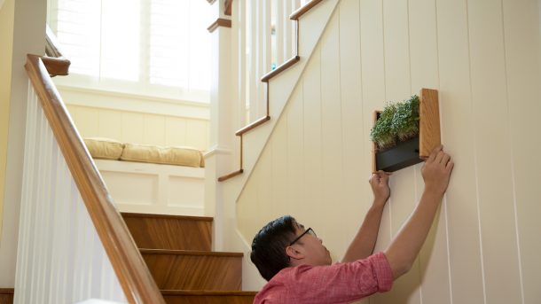 cornice giardino verticale